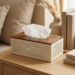 Metal Tissue Box